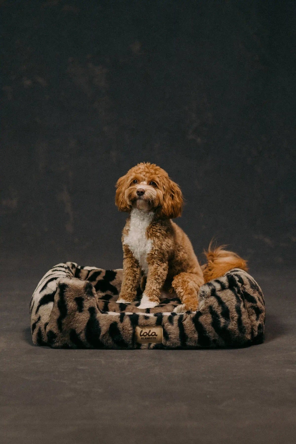 The Lola Pet Bed | Desert Tiger