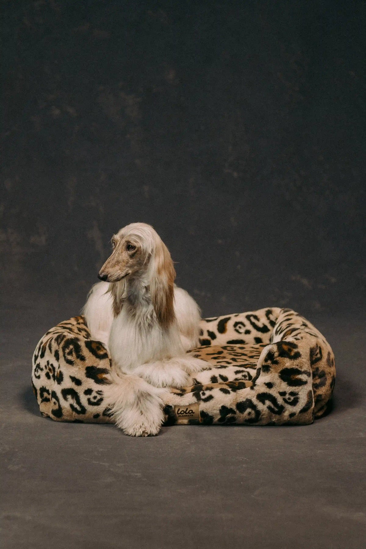 The Lola Pet Bed | Leopard