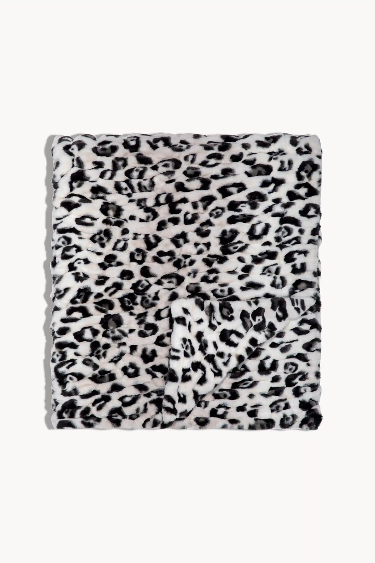 Snow Leopard