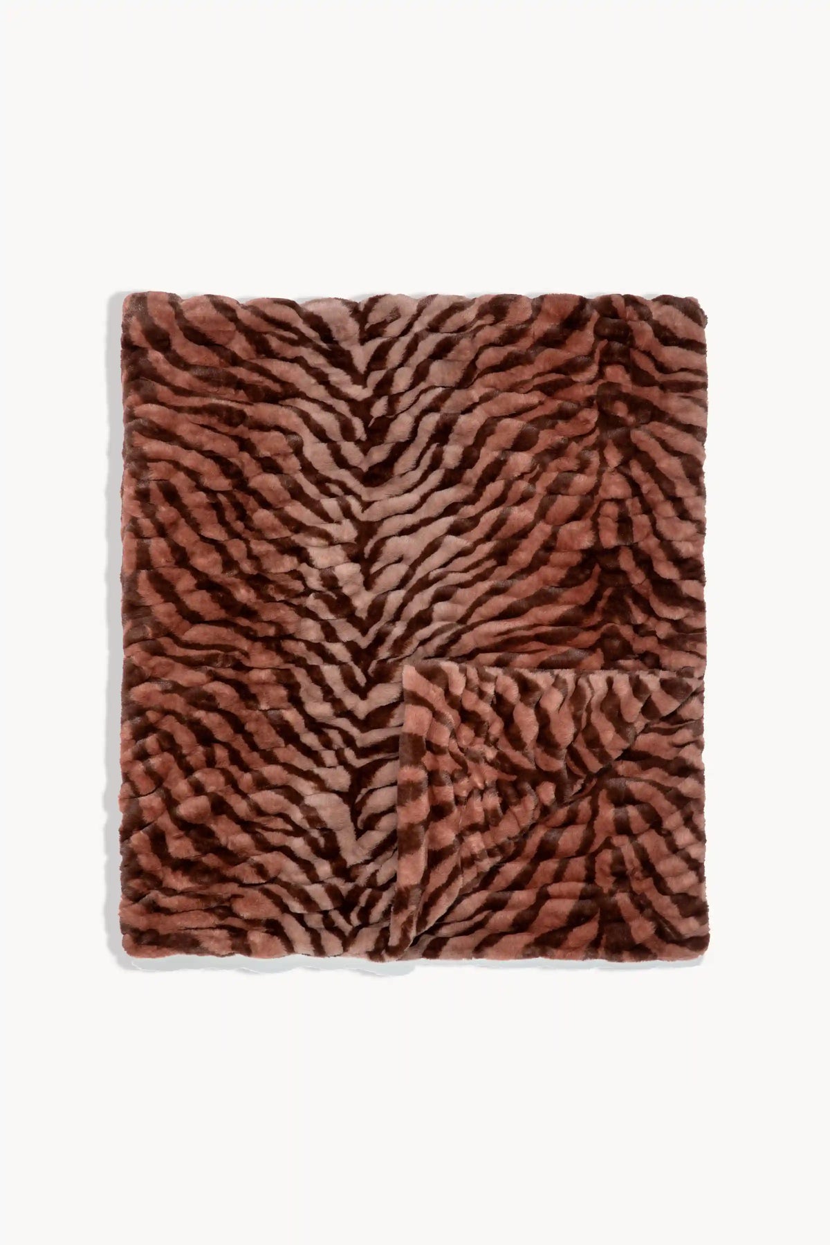 Terracotta Zebra