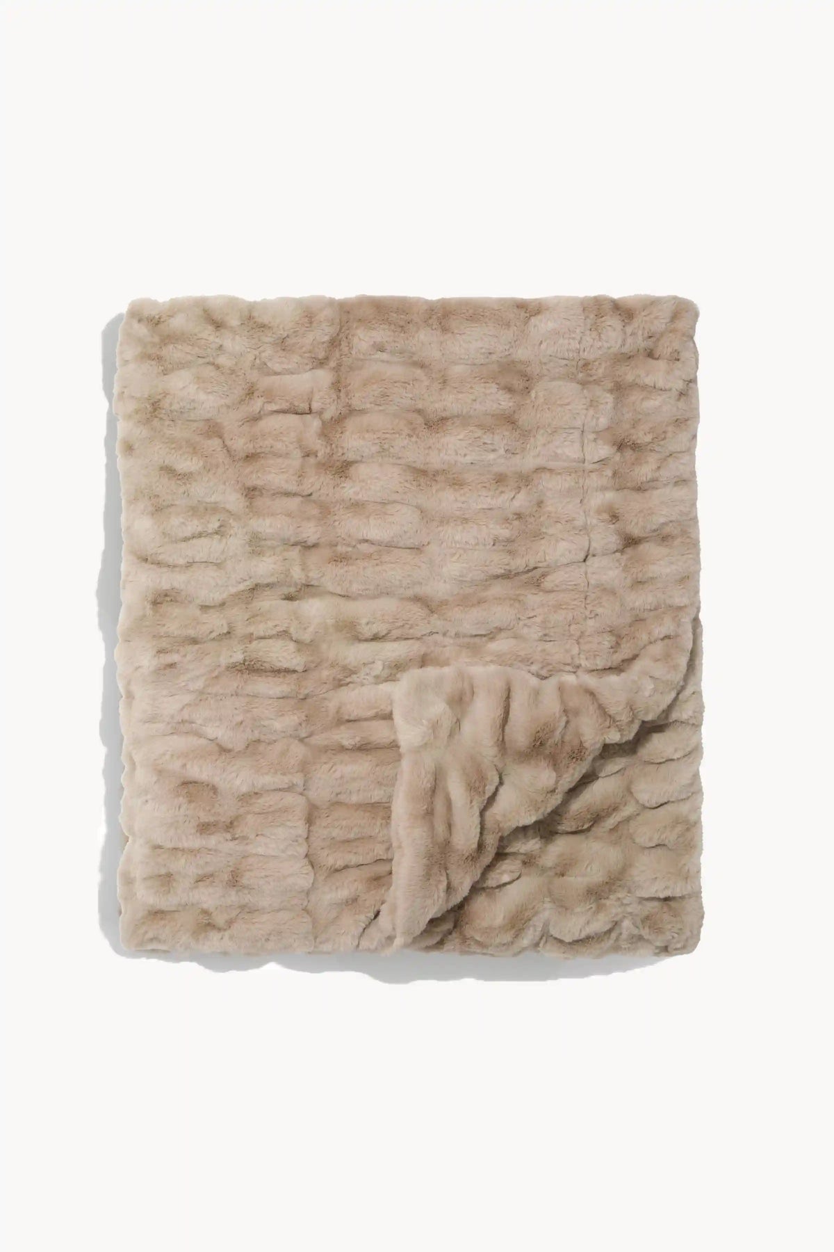 Lola x Dagne Dover: Oyster Bundle
