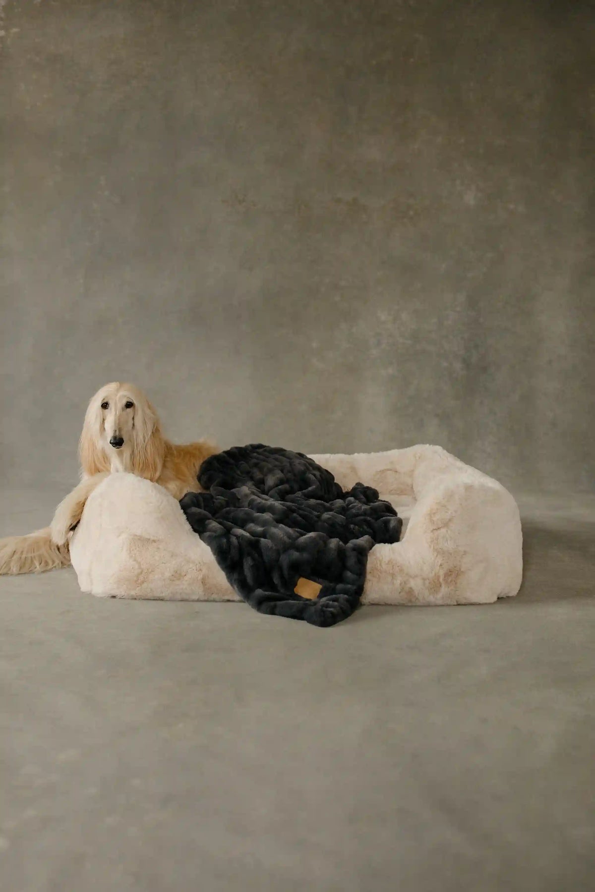 The Lola Pet Bed | Bondi Beige