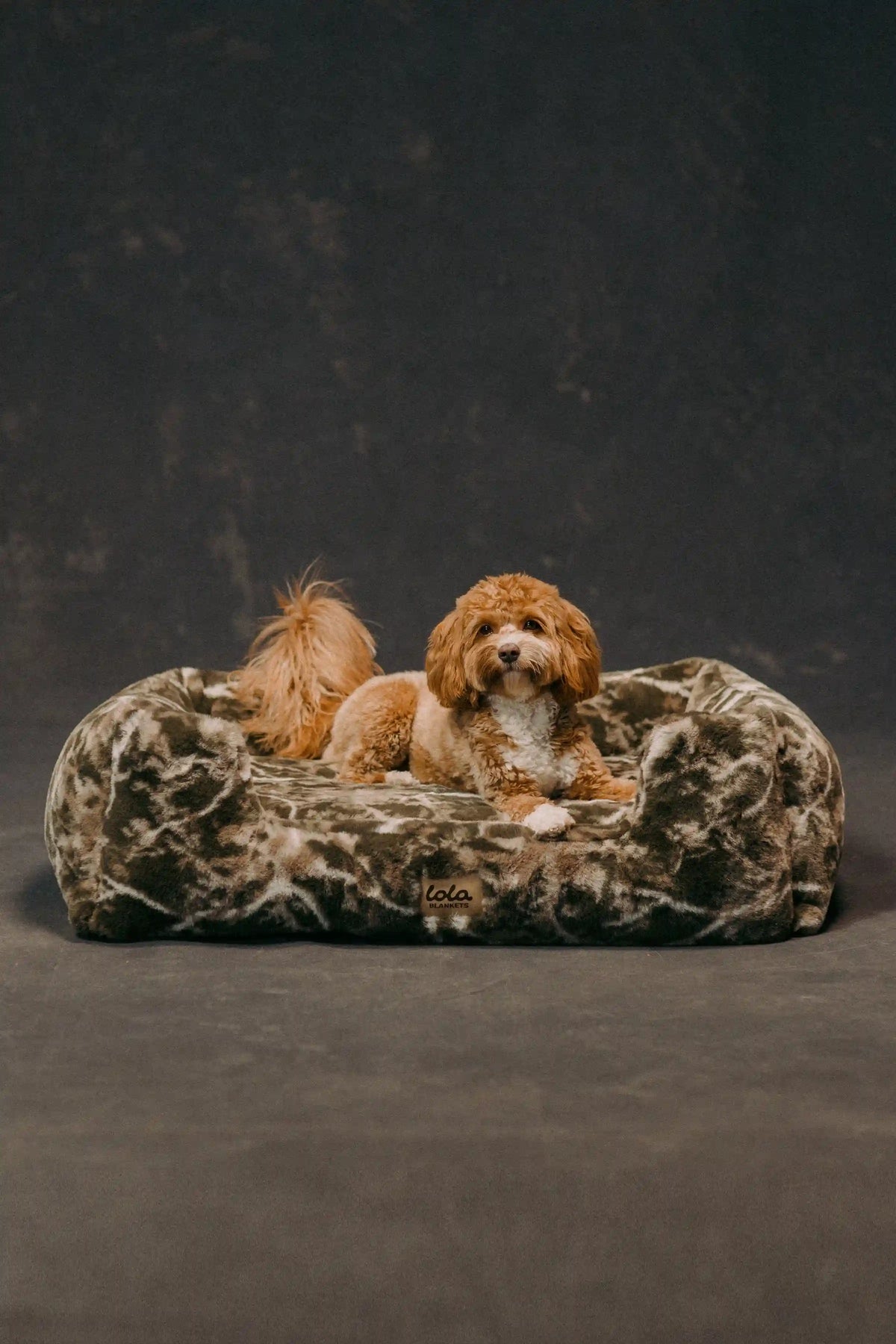 The Lola Pet Bed | Sagebrush Camo