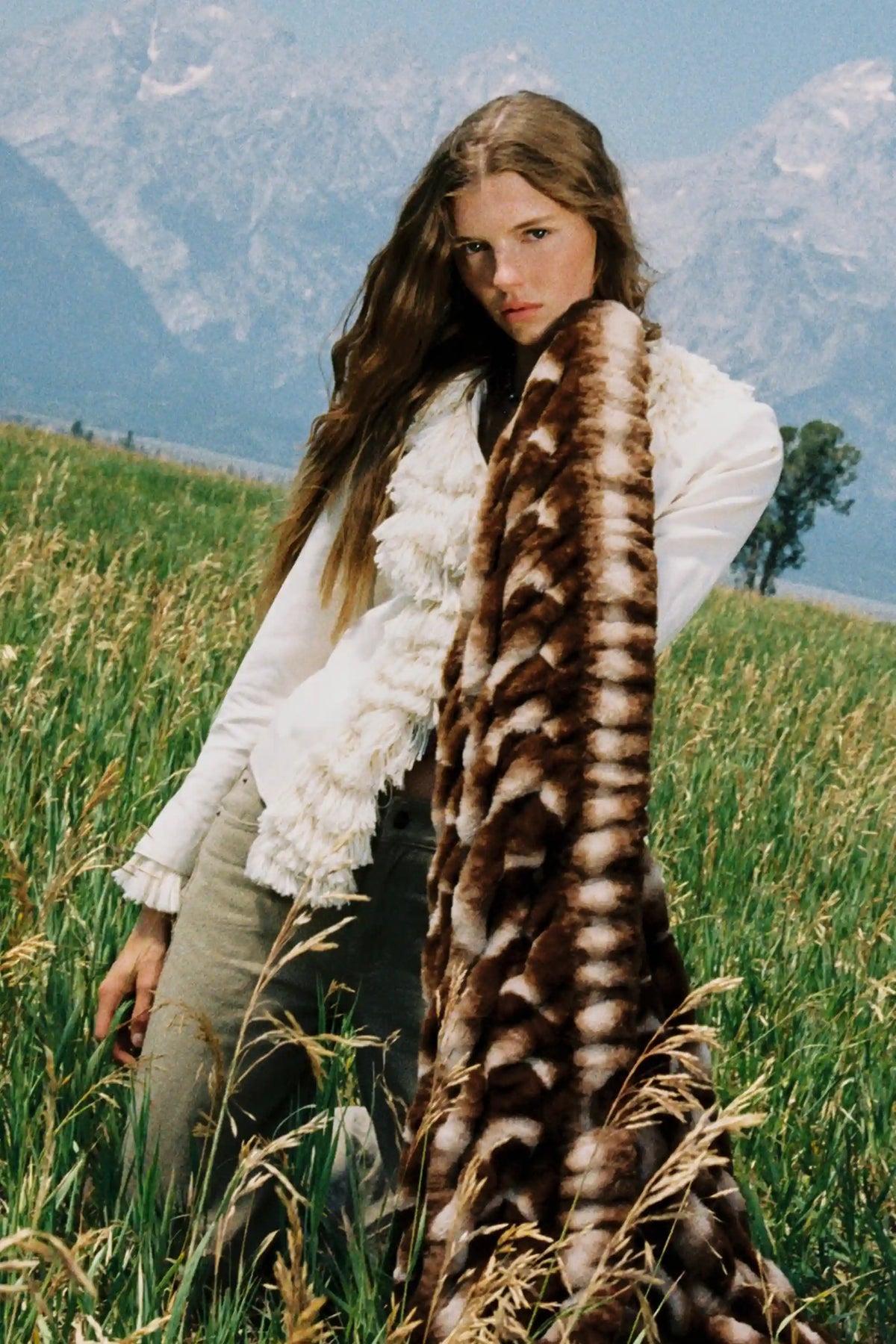 Teton Saddle